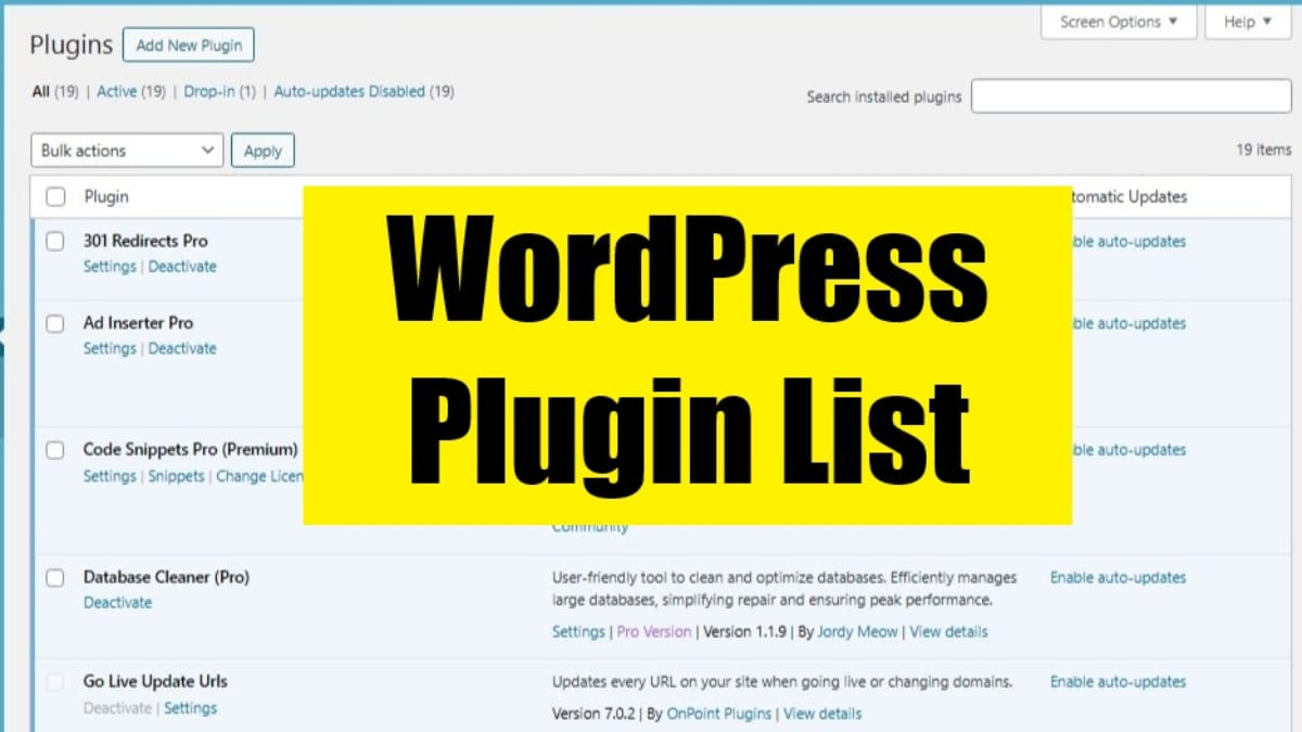 wp plugin list