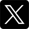 x icon